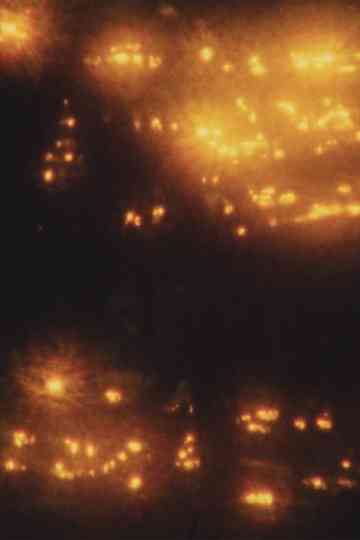 Abendglitzern Poster