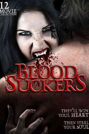 A Vampires Tale