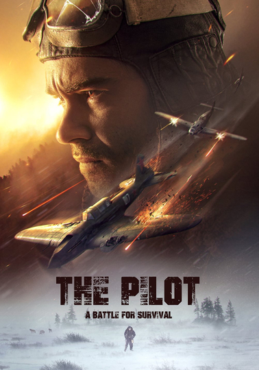 The Pilot: A Battle for Survival Poster