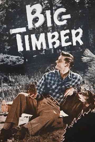 Big Timber Poster