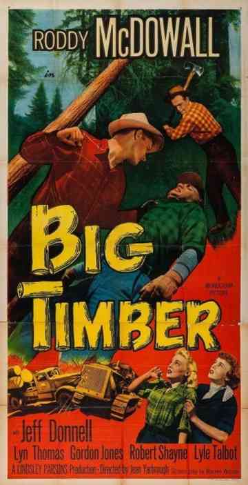 Big Timber Poster
