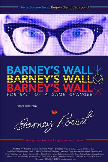 Barneys Wall