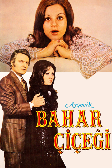 Ayşecik Bahar Çiçeği Poster