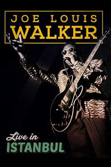 Joe Louis Walker Live In Istanbul