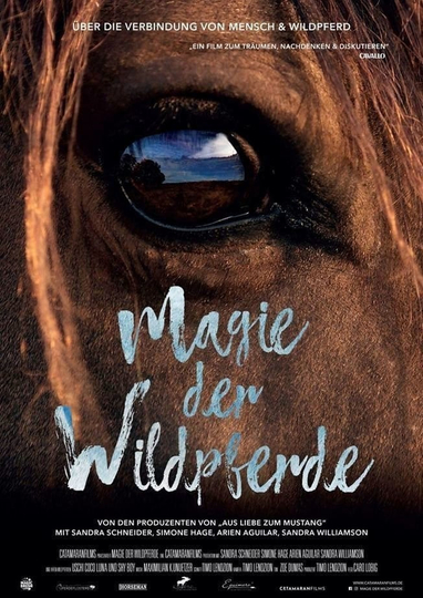 Magic of the Wild Horses Poster