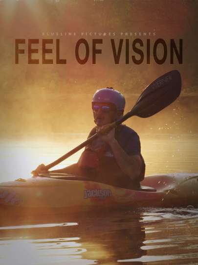 Feel of Vision Poster