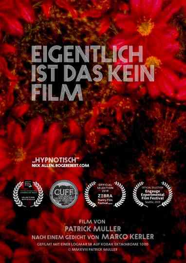 Actually, This Is Not a Film