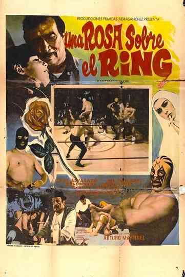 Una rosa sobre el ring Poster