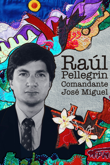 Raúl Pellegrin Comandante José Miguel