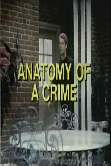 Anatomy of a Crime Poster