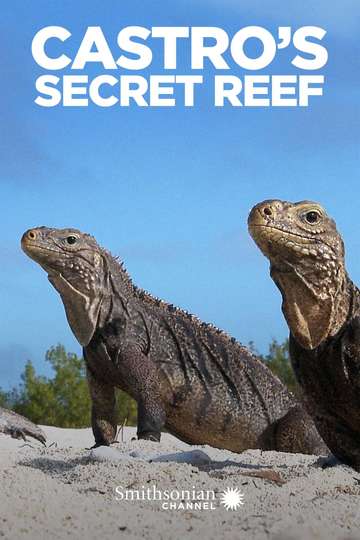 Castros Secret Reef Poster