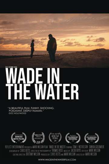 Wade in the Water Poster