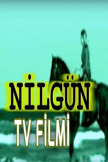 Nilgün Poster