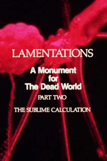 Lamentations A Monument to the Dead World Part 2 The Sublime Calculation