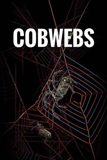 Cobwebs