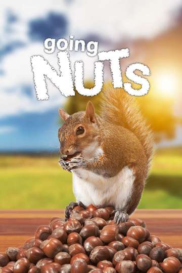 Going Nuts Tales from the Squirrel World