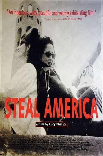Steal America Poster