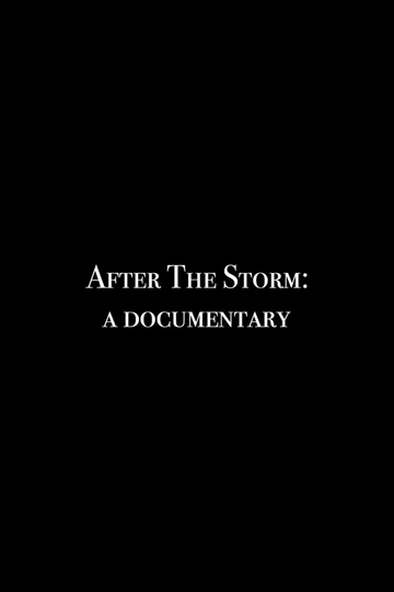 After the Storm A Documentary Poster