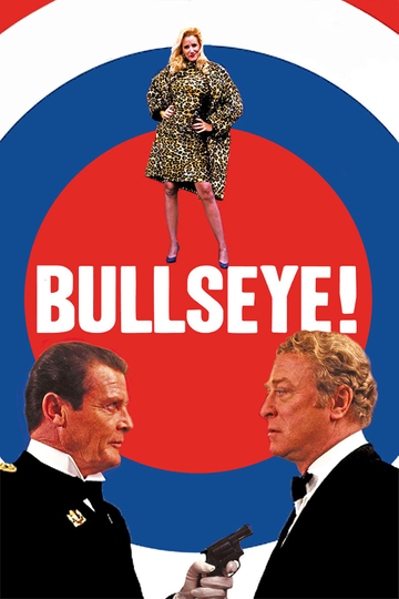 Bullseye! Poster