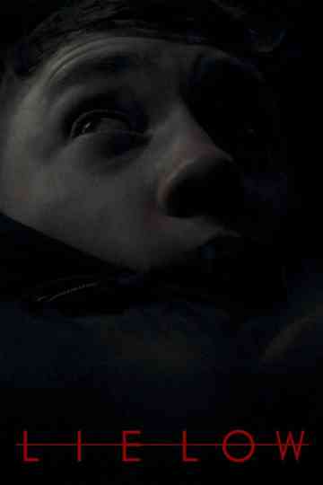 Lie Low Poster