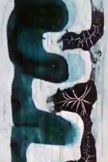 Impressions des Andes Poster