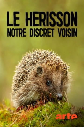 Le hérisson notre discret voisin