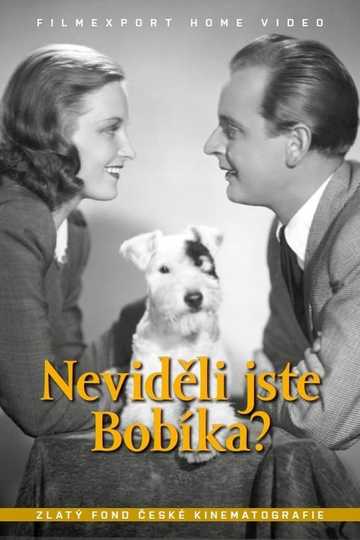 Neviděli jste Bobíka? Poster