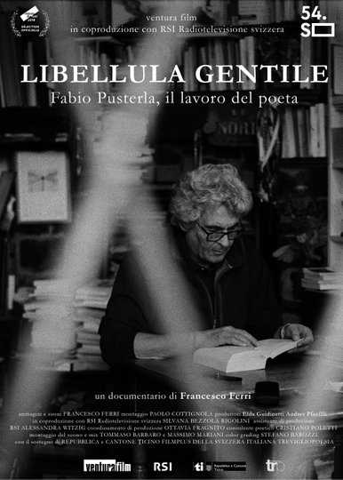 Libellula gentile Fabio Pusterla il lavoro del poeta