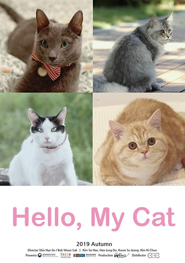 Hello My Cat Poster