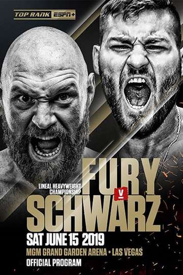 Fury vs Schwarz