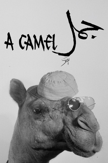 A Camel Poster