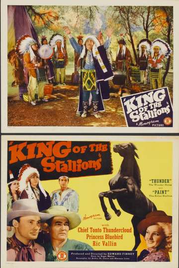 King of the Stallions Poster