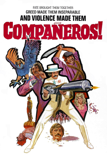 Compañeros Poster