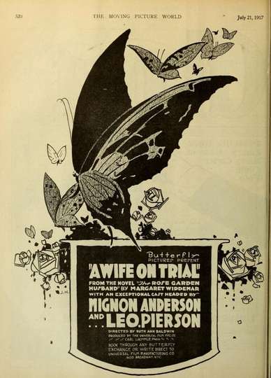 A Wife on Trial Poster