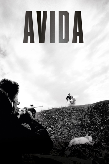 Avida Poster