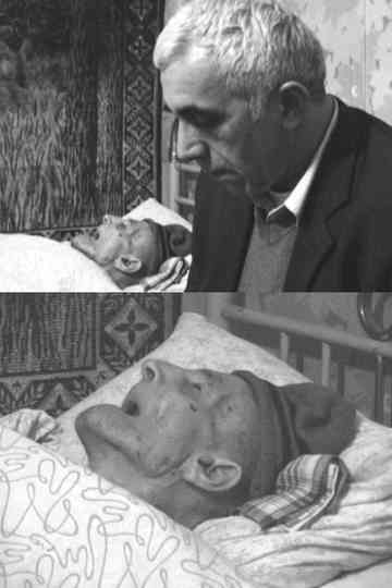 Father