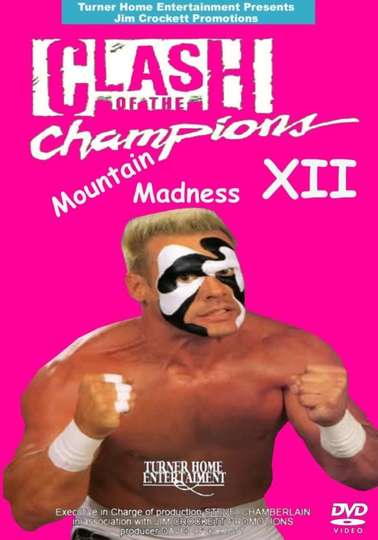WCW Clash of The Champions XII Fall Brawl 90 Mountain Madness Poster