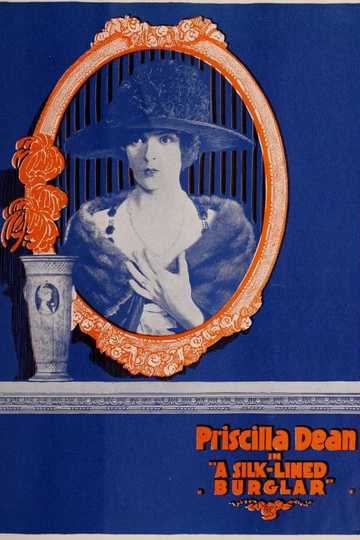 The Silk Lined Burglar Poster