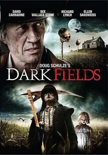 Dark Fields Poster