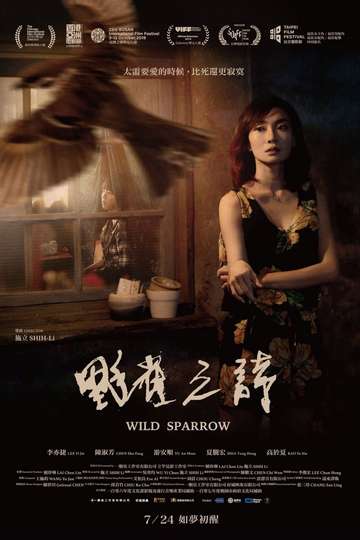 Wild Sparrow Poster