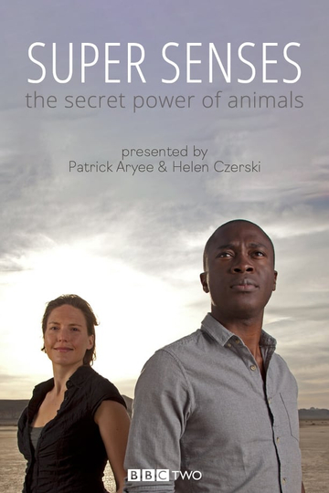 Super Senses: The Secret Power of Animals Poster