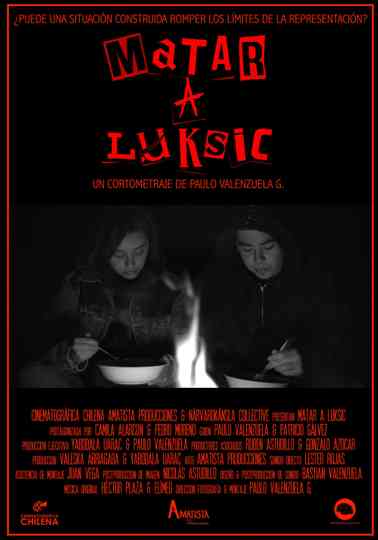 Matar a Luksic
