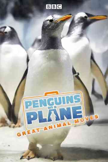 Penguins on a Plane: Great Animal Moves Poster
