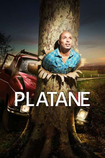 Platane Poster