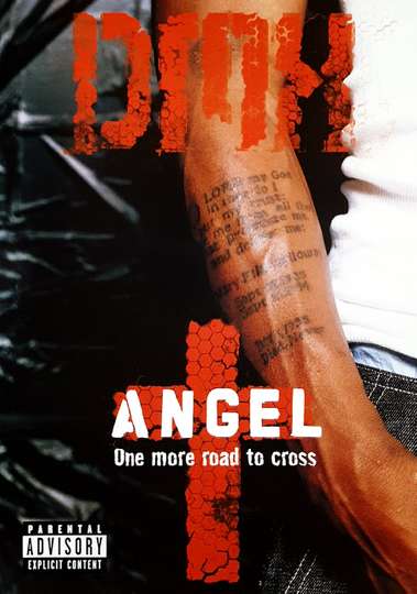 DMX Angel Poster