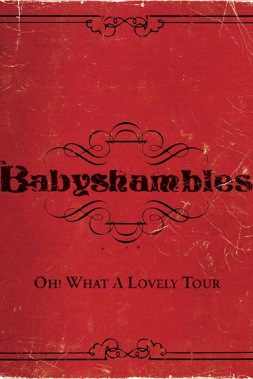 Oh What a Lovely Tour  Babyshambles Live