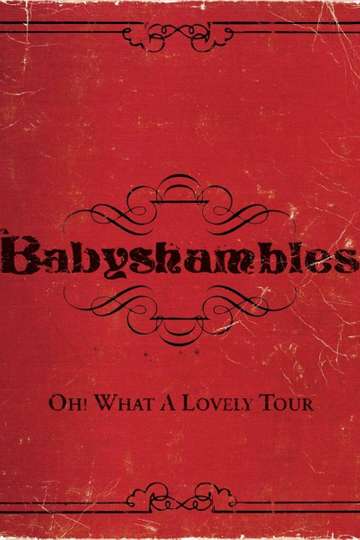 Oh What a Lovely Tour  Babyshambles Live