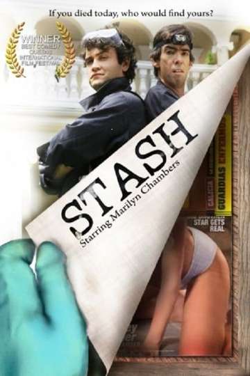 Stash Poster