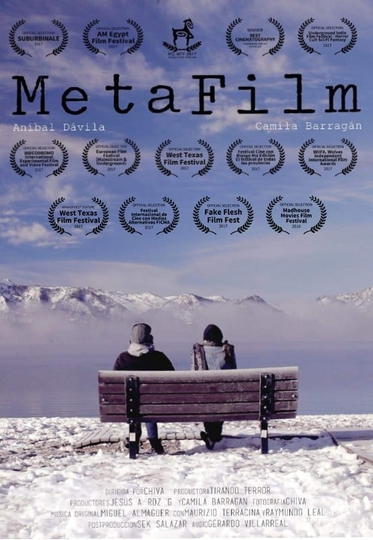 MetaFilm