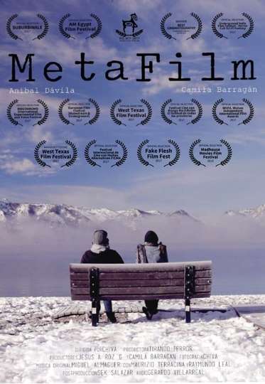 MetaFilm Poster